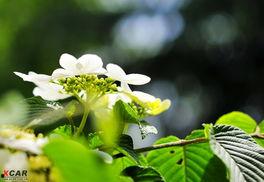 平淡生活图片,平淡生活中的温馨瞬间