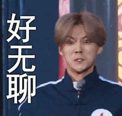 鹿晗盗图表情包,网络狂欢背后的文化现象解析