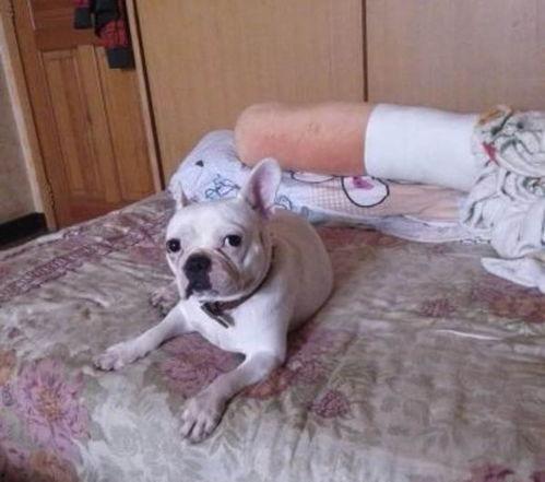 狗娃闹春演员现状,昔日童星现状大揭秘