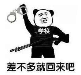 注孤生的表情包,揭秘单身贵族的内心独白